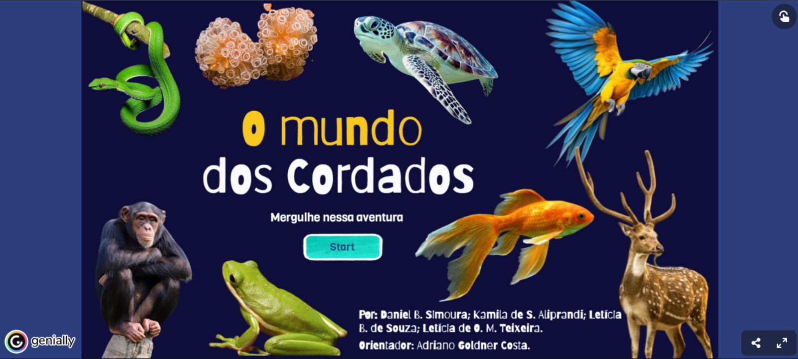 O MUNDO DOS CORDADOS MERGULHE NESSA AVENTURA