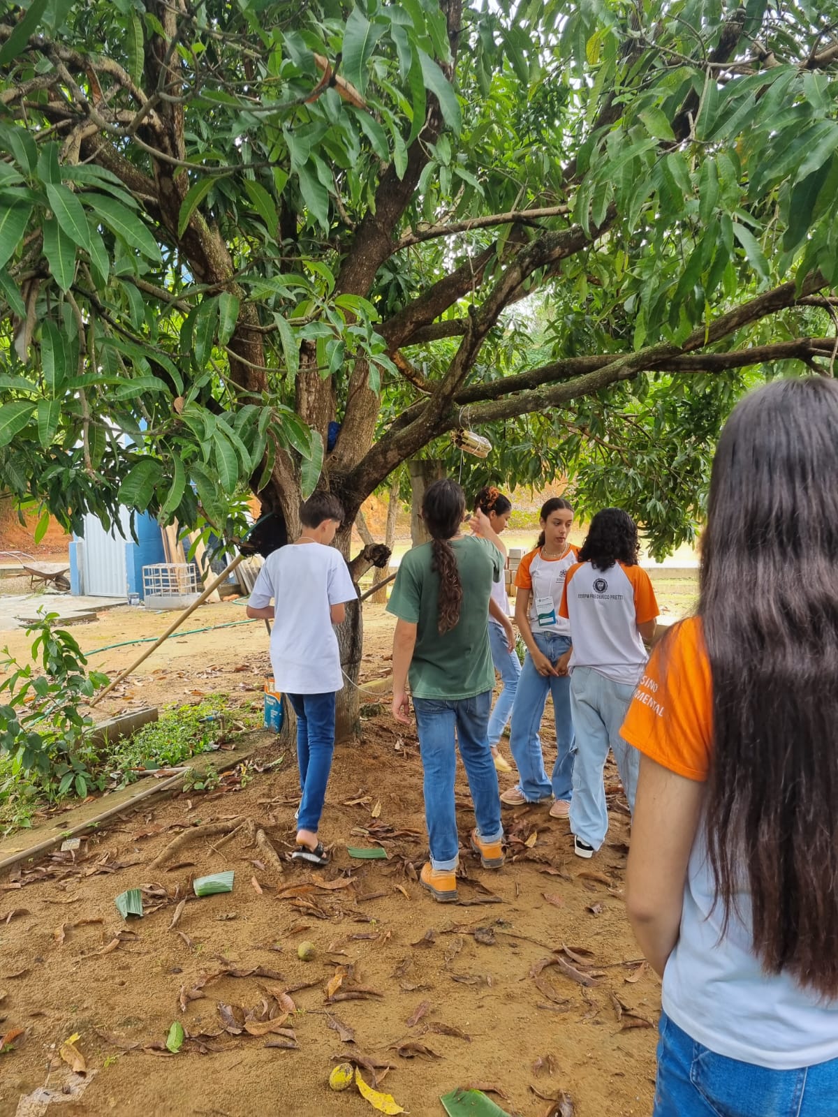 0931ded1 5b56 433d bd04 370fac6719a1