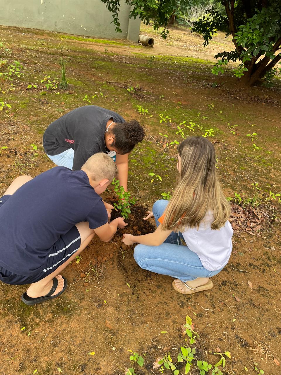 94319a1c 6121 48de 9fc1 f0cf51f4680d