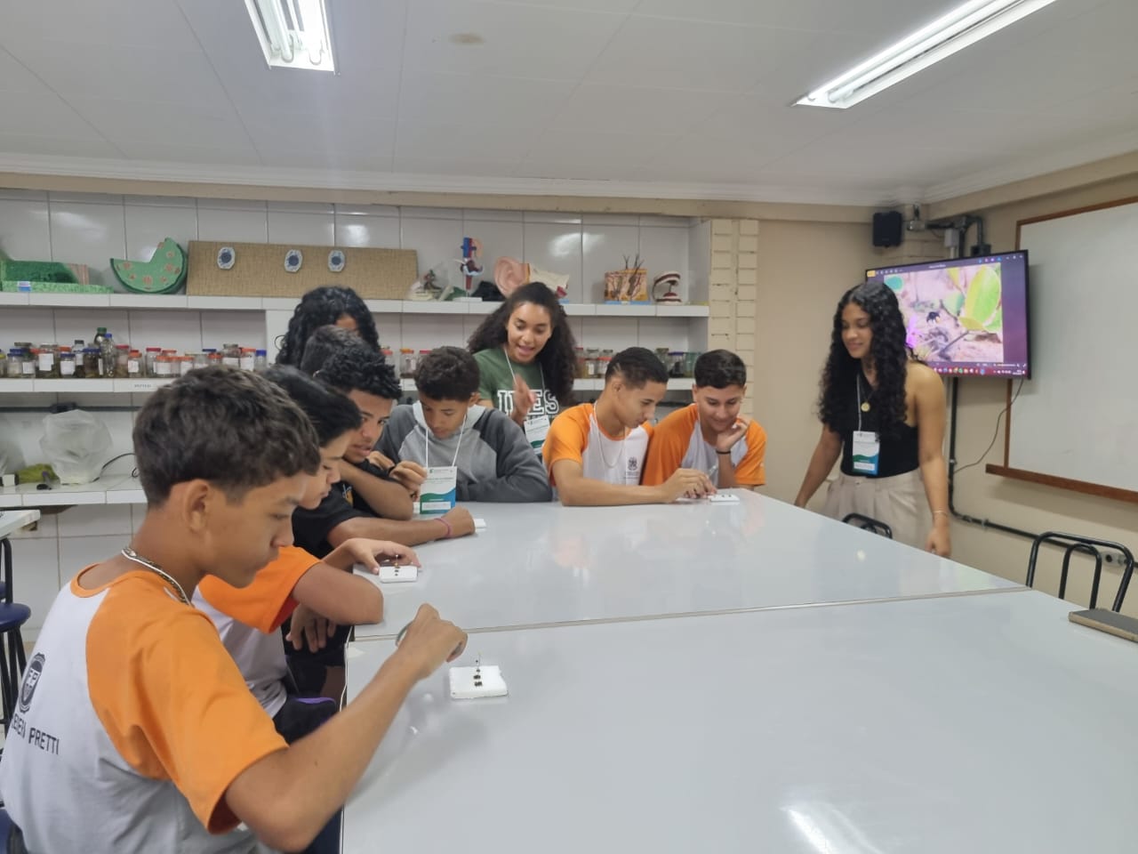 e2d6a932 7453 42b7 aae1 98011ca49232