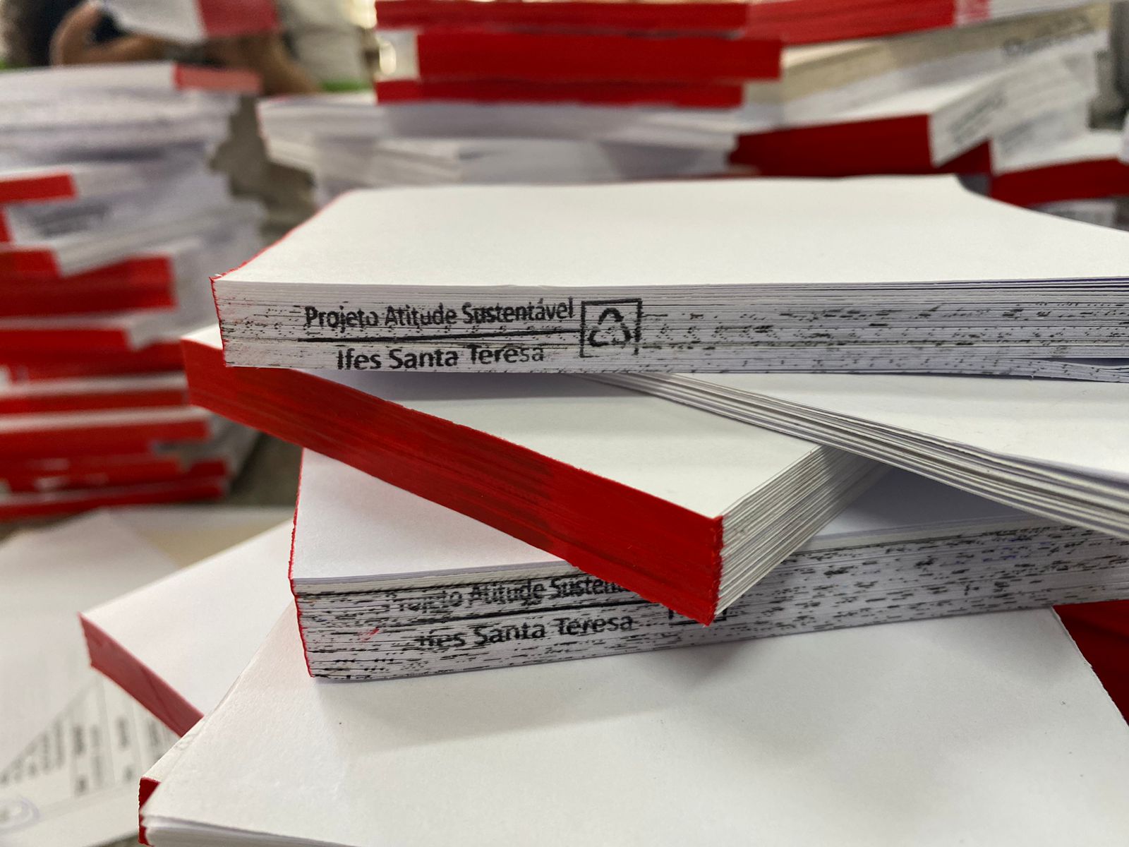 Registros fotográficos 4