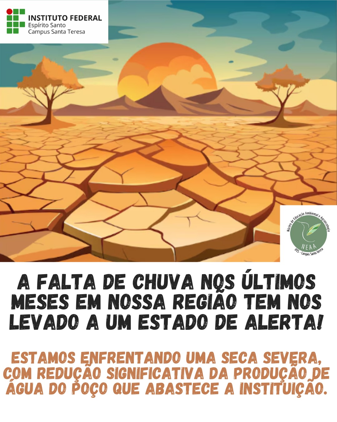 WhatsApp Image 2025 08 27 at 07.34.57