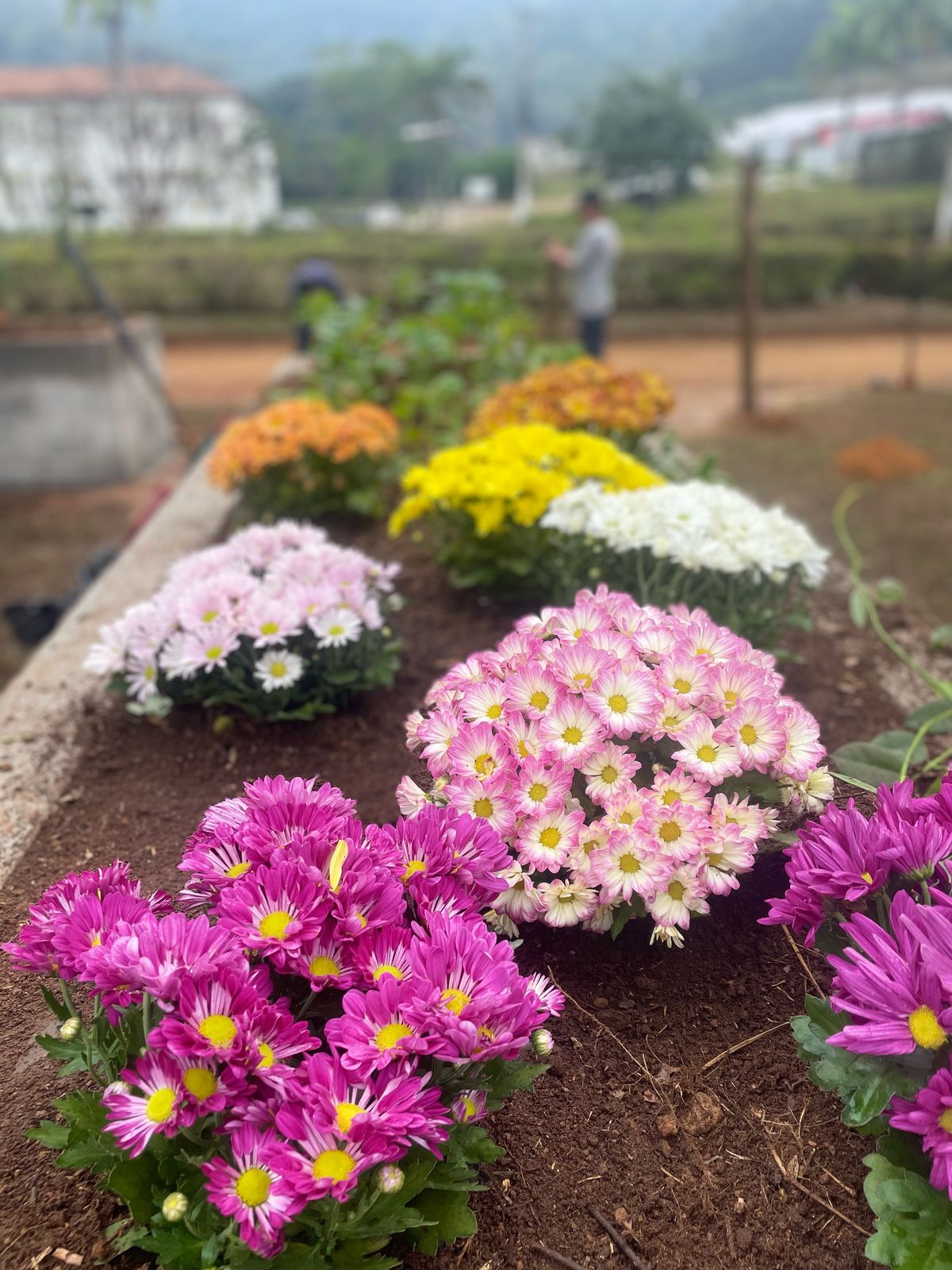 WhatsApp Image 2025 06 13 at 11.00.09