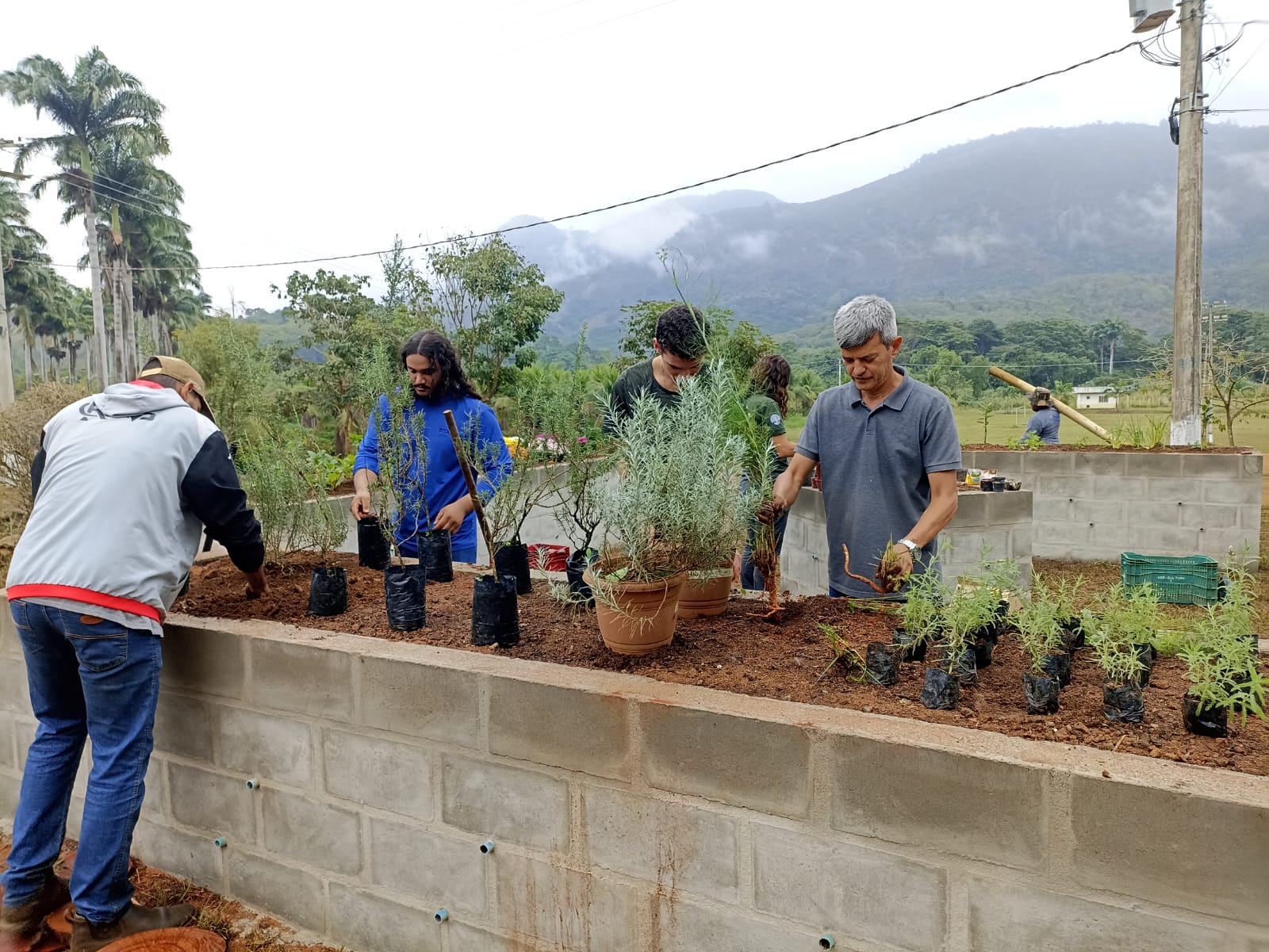 WhatsApp Image 2025 06 13 at 11.46.52 3