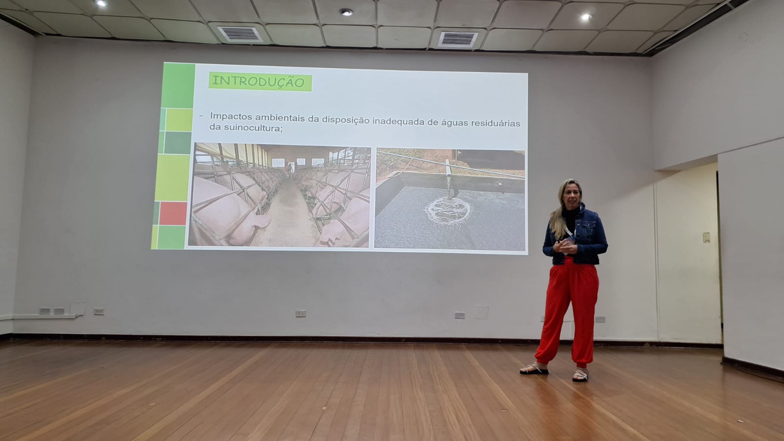 WhatsApp Image 2024 12 17 at 15.43.50