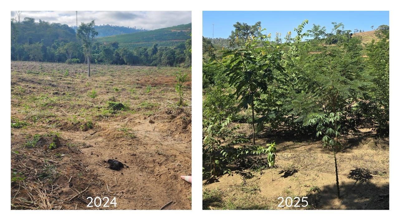 WhatsApp Image 2025 07 23 at 15.57.02