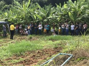 Empresa Junior promove I Dia de Campo da Cultura da Banana