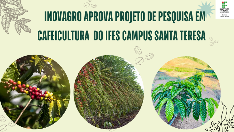 Projeto de Pesquisa do Campus Santa Teresa voltado para Sustentabilidade da Cafeicultura no Espírito Santo é aprovado pelo INOVAGRO